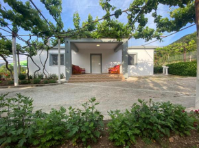 Progon House